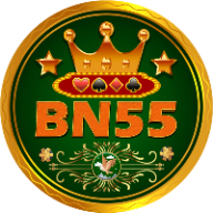 BN55 logo